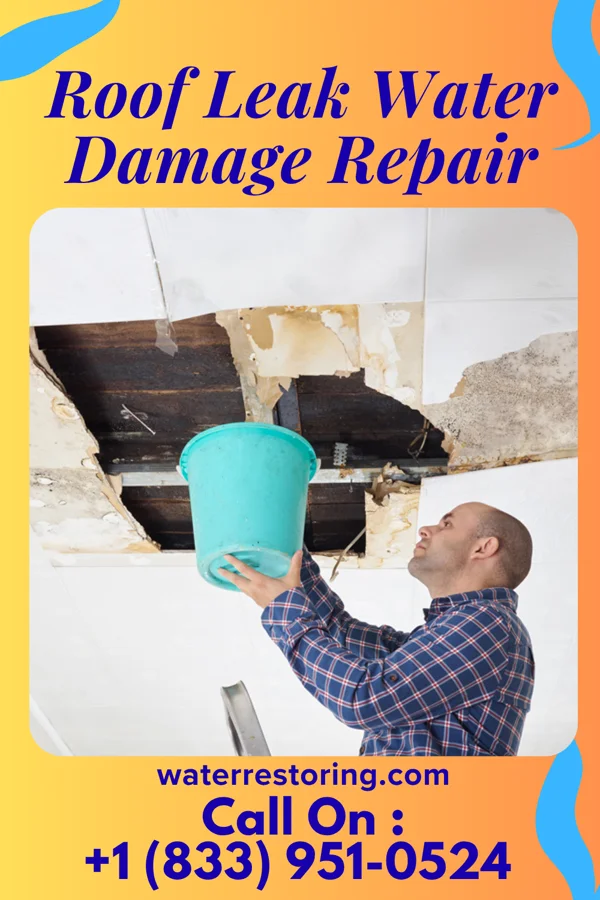Roof Leak Water Damage Repair in Salisbury, PA