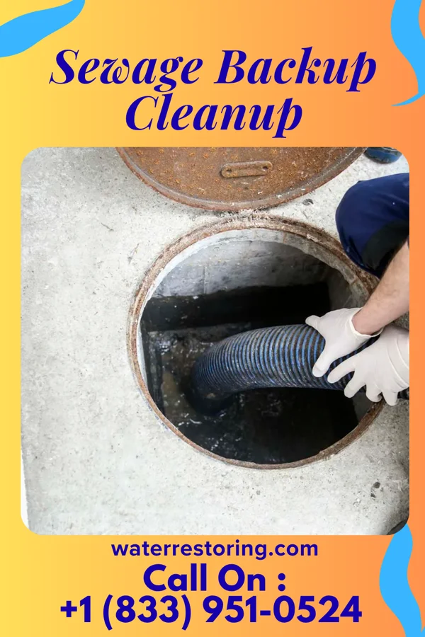 Sewage Backup Cleanup in Salisbury, PA