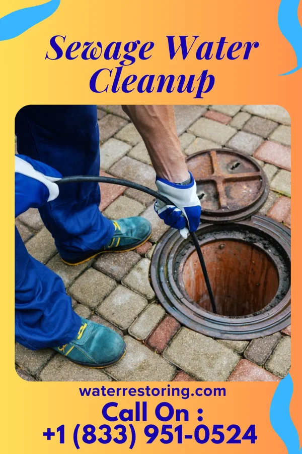 Sewage Water Cleanup in Salisbury, PA