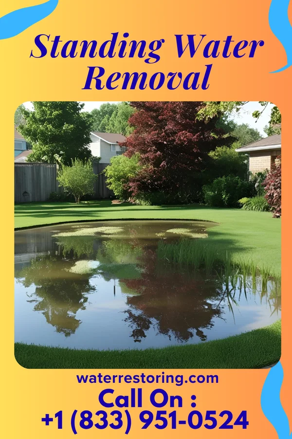 Standing Water Removal in Salisbury, PA